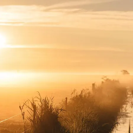 Apartamento @home In Born