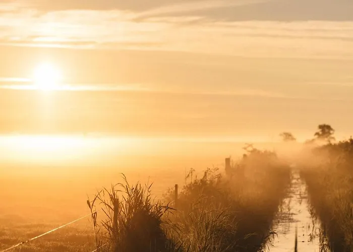 Apartamento @home In Born